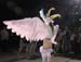 Fantasy Fest Parade 2005 photo - Duval Street, Key West